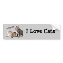Cats Bumper Sticker PURRsonality bumper stickers