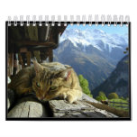 Cats Calendar 2012