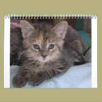 CATS calendars