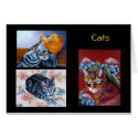 Cats cards