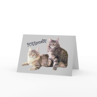 Cats Card PURRsonality