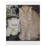 CATS, CATS AND MORE CATS CUSTOM FLYER