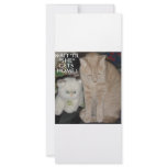 CATS, CATS AND MORE CATS RACK CARD TEMPLATE