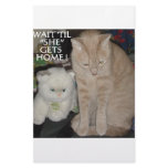 CATS, CATS AND MORE CATS STATIONERY