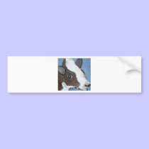 cats, dogs, cows by eric ginsburg bumper stickers