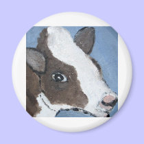 cats, dogs, cows by eric ginsburg magnets