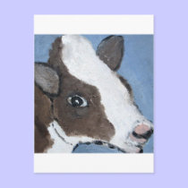 cats, dogs, cows by eric ginsburg postcards