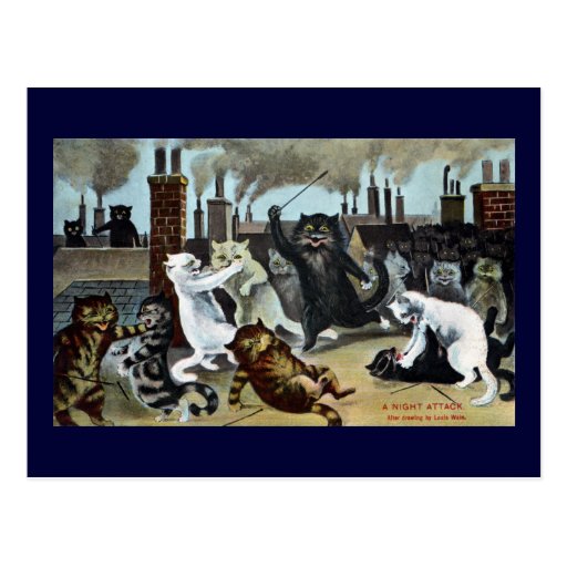 Cats Duke It Out on a Rooftop Postcards