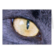 Cat's Eye cards