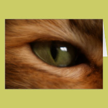 Cat's Eye of Sublimity cards
