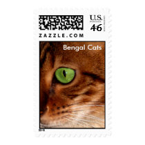 Cats Eye Postage Stamps