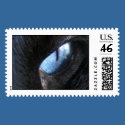 Cat's Eye postage by miscelena Cat's Eye postage