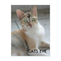 CATS EYE postcards
