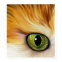 Cat's Eye posters by Rverano Cat's Eye posters