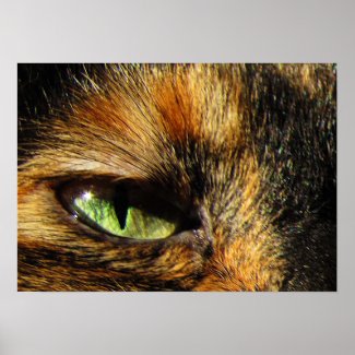 Cat's Eye Print