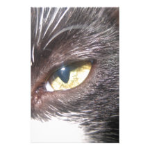 cat's eye stationery paper