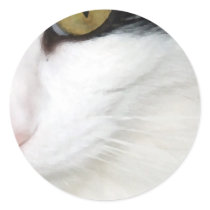 Cats Eye stickers