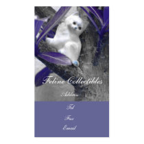 Cat's Eye View business cards