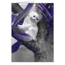 Cat's Eye View cards
