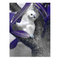 Cat's Eye View postcards