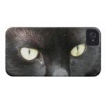Cats Eyes casemate cases