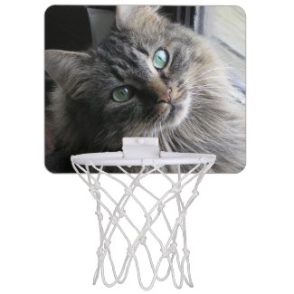 Cats Eyes Mini Basketball Hoop