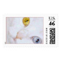 Cats eyes postage by Lovebirdfan Cats eyes postage