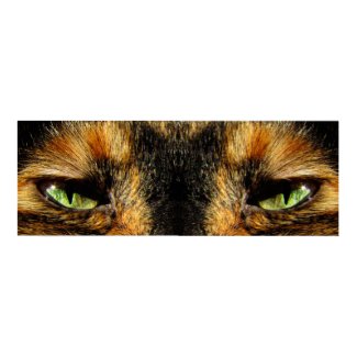 Cat's Eyes print