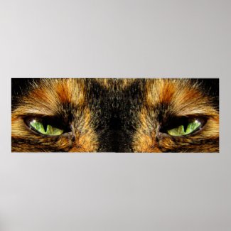 Cats Eyes Poster