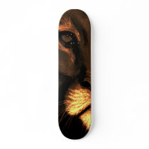 cats eyes - puma skateboards by dawnmcininch cats eyes - puma skateboards