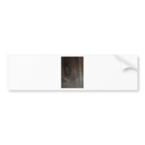 Cat's Eyes' View bumper stickers