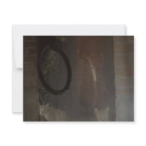 Cat's Eyes' View invitations