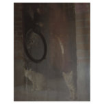 Cat's Eyes' View Letterhead Design