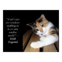 Cats Eyes Window To Another World posters