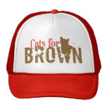 Cats for Brown - Senator of MASS Hats