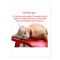 Cats for Nursing Students - Exhausted postcards