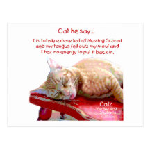Cats for Nursing Students - Exhausted Post Cards