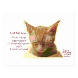 Cats for Nursing Students - Sleep Deprivation Post Card