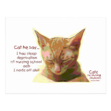 Cats for Nursing Students - Sleep Deprivation Post Card