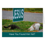 Cats Found Jesus Funny Card cards