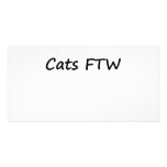 Cats FTW Photo Card