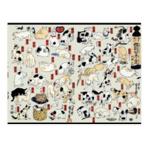 Cats Galore Postcard
