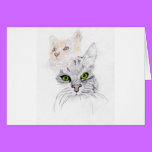 Cats cards
