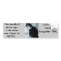 Cats have good memories bumper stickers