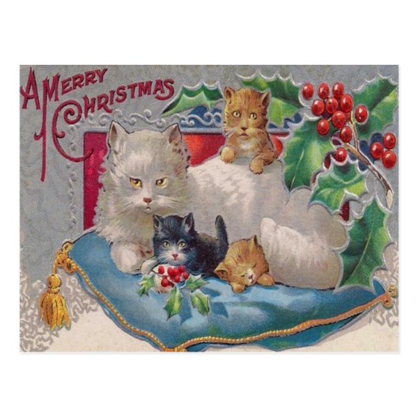 Cats & Holly Post Cards