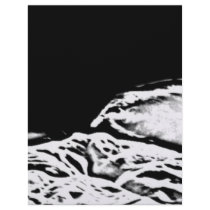 Cats in Black and White letterhead by tirial Cats in Black and White letterhead