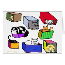 Cats And Boxes