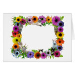 Cats in Flowers Border cards