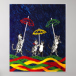 Cats in the Rain Poster