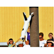 Cats Jumping Cut Outs